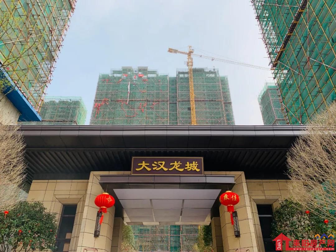 大汉家书|耒阳大汉龙城3月工程进度播报