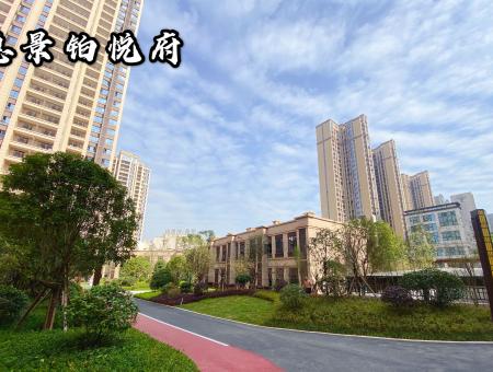 实景图