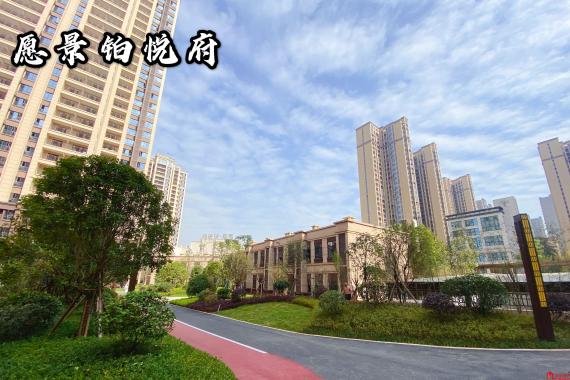 实景图