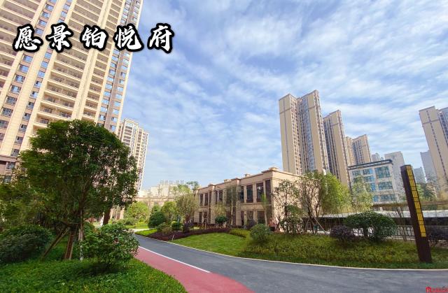 实景图