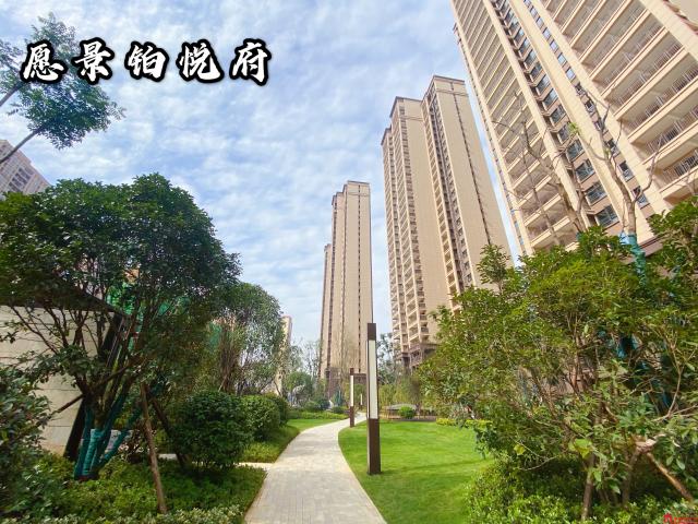 实景图